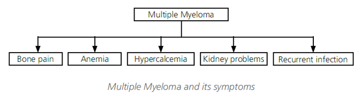 Myeloma Diagram 2