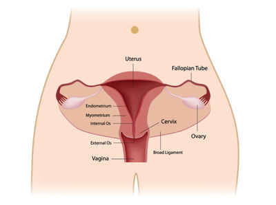 Cervical Cancer