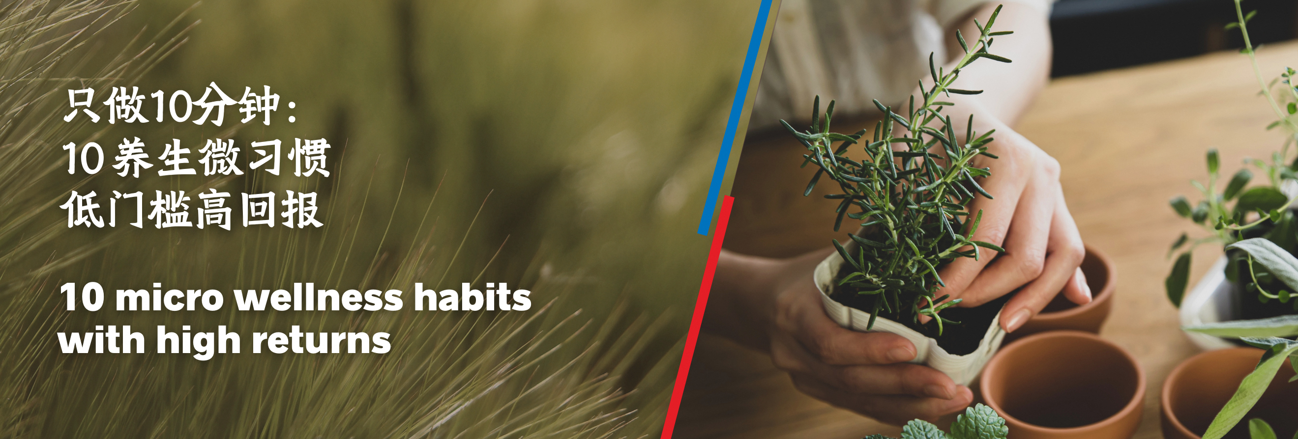 260106_10 micro wellness habits  (Desktop)