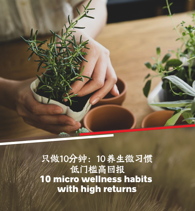 260106_10 micro wellness habits (Mobile)