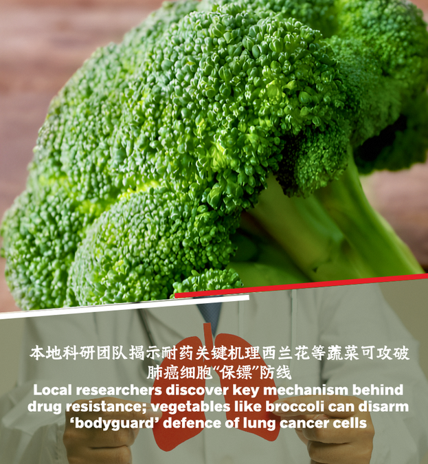 260126_Newly Identified Molecular Pathway (mobile)